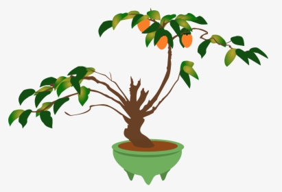 Branch Bonsai Flowerpot Ornamental Plant Houseplant - Bonsai, HD Png Download, Free Download