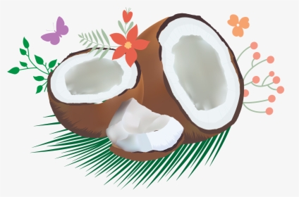 Coconut Clipart Coconut Bra - Cartoon Coconut Bra - Free