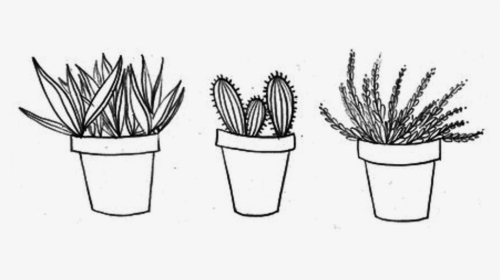 Drawing Cactus Aesthetic Transparent Png Clipart Free - Aesthetic Cactus Black And White, Png Download, Free Download