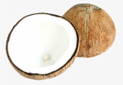 Two Half Coconuts Png - Half Coconut Png, Transparent Png, Free Download