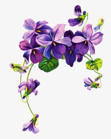Lavender Flower Drawing - Transparent Purple Flowers Border Png, Png Download, Free Download