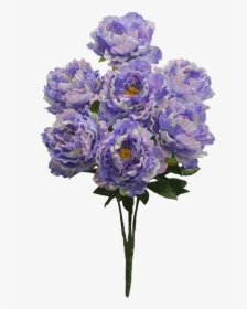 Lavender Bush Png, Transparent Png, Free Download