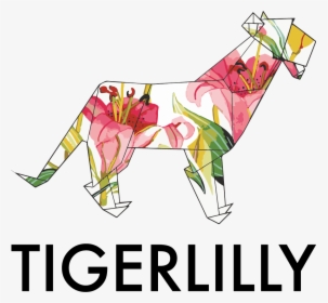 Tigerlilly Dancewear, HD Png Download, Free Download