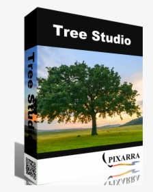 Tree Studio - Environmental Memes, HD Png Download, Free Download