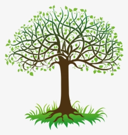 Transparent Tree Branch Vector Png - Drzewo Poznania Dobra I Zła, Png Download, Free Download