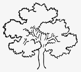 Tree Clipart Black And White, HD Png Download, Free Download