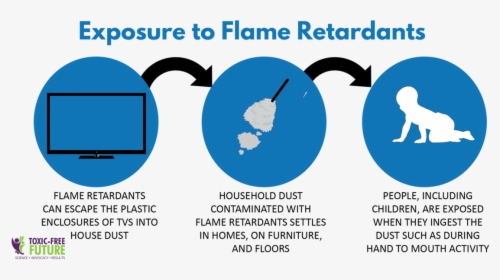 People Exposed To Flame Retardants, HD Png Download, Free Download