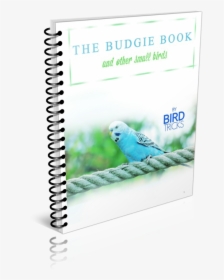 Budgie, HD Png Download, Free Download