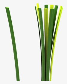 Grass, HD Png Download, Free Download