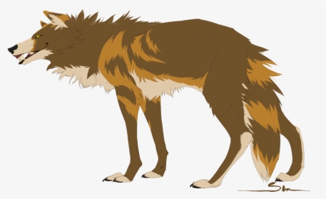 Fox Gray Wolf Red Wolf - Brown Wolf Drawing, HD Png Download, Free Download