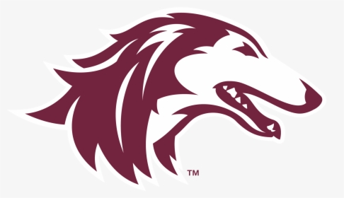 3 Things We Learned - Southern Illinois Logo, HD Png Download, Free Download