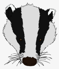 Honey Badger Clipart Baby - Honey Badger Face Drawing, HD Png Download, Free Download