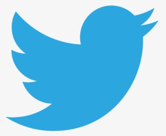 Twitter Logo Vector Png, Transparent Png, Free Download