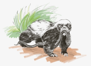 Honeybadger, HD Png Download, Free Download