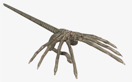 Facehugger Png 5 » Png Image - Deviantart Face Hugger Xps, Transparent Png, Free Download