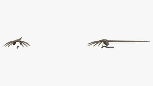Download Zip Archive - Magpie, HD Png Download, Free Download