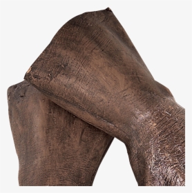 Wookie Costume Hands - Tights, HD Png Download, Free Download