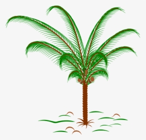 Tree Palm Palm Leaves Plant Png Image - Snow Globe Palm Tree, Transparent Png, Free Download