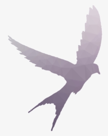 Bird Shadow Clipart Swallow Bird Flight - Flying Bird Silhouette Tattoo, HD Png Download, Free Download