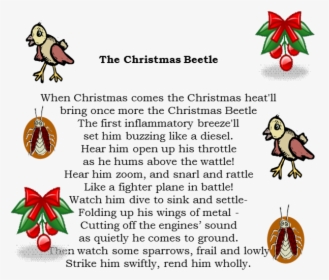 Christmas Beetle - Cartoon, HD Png Download, Free Download