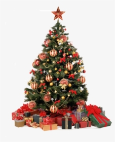 Christmas Background Tree Transparent - Christmas Home Png, Png Download, Free Download