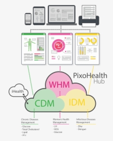 Agency For Health And Consumers, HD Png Download, Free Download