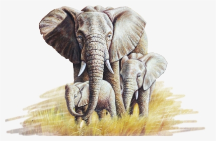 African Elephant Oil Painting Canvas - Elephant Painting Png, Transparent Png, Free Download