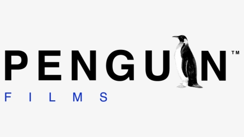 Penguin Films - Penguin Films South Africa, HD Png Download, Free Download