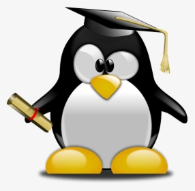 Penguin With Graduation Cap, HD Png Download, Free Download