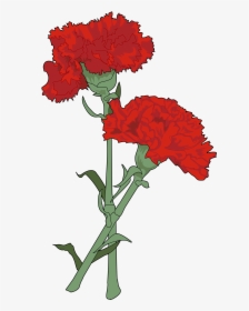 Flores Tumblr Dibujos Png - Carnation Drawing Png, Transparent Png, Free Download