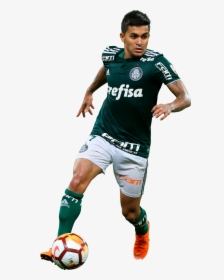 Transparent Palmeiras Png, Png Download, Free Download