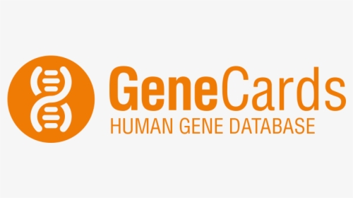 Gene Card, HD Png Download, Free Download