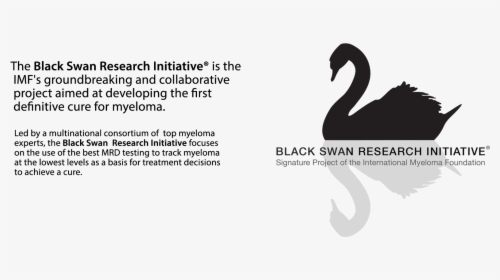Black Swan Nights [cd] , Png Download - Bigstock, Transparent Png, Free Download