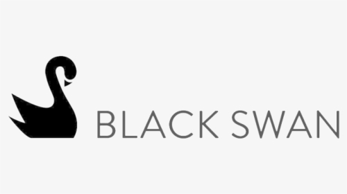 Black Swan Data Copy - Duck, HD Png Download, Free Download