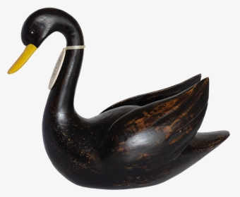 Black Swan - Duck, HD Png Download, Free Download