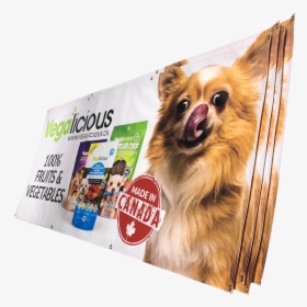 Advertising Banners - Chihuahua, HD Png Download, Free Download