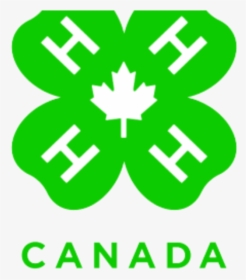 4 H Canada Logo Clipart , Png Download - 4 H Canada, Transparent Png, Free Download