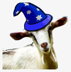 Hd Picture Of Goat, HD Png Download, Free Download