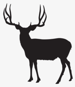 Mule Deer Silhouette - Mule Deer Buck Silhouette, HD Png Download, Free Download