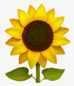 ❁ Sunflower Emoji 🌻 Sunflower Sun Flower Emoji Emotico - Sunflower Emoji Png, Transparent Png, Free Download