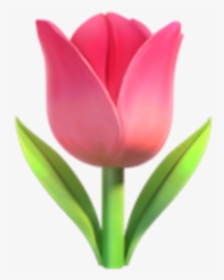 Pink Flower Clipart Emoji - Tulip Emoji, HD Png Download, Free Download