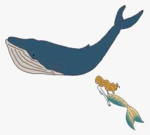Whale - Whales, HD Png Download, Free Download