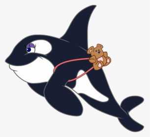 Transparent Orca Whale Clipart - Cartoon, HD Png Download, Free Download