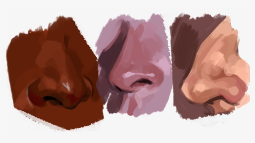 Oil Painting Nose Tutorial, HD Png Download, Free Download