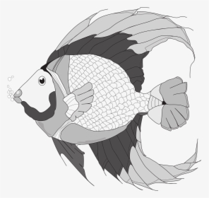 Fish Fish Illustration Black And White Fish Free Photo - Gambar Ilustrasi Ikan, HD Png Download, Free Download