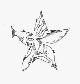 Transparent Star Fish Png - Line Art, Png Download, Free Download