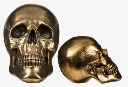 Skull Bone Ornament, HD Png Download, Free Download