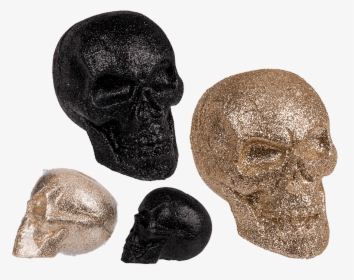 Skull, HD Png Download, Free Download