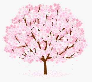 Tree, Blossom, Flower, Nature, Pink - Cherry Blossom, HD Png Download, Free Download