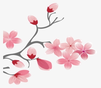 Branch Vector Elegant - Cherry Blossom, HD Png Download, Free Download